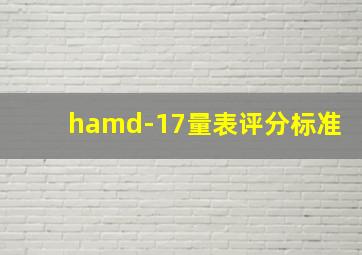 hamd-17量表评分标准