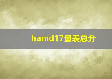 hamd17量表总分