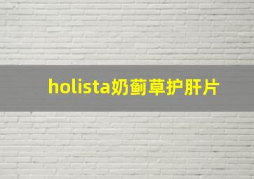 holista奶蓟草护肝片