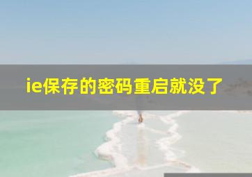 ie保存的密码重启就没了