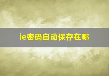 ie密码自动保存在哪