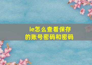 ie怎么查看保存的账号密码和密码