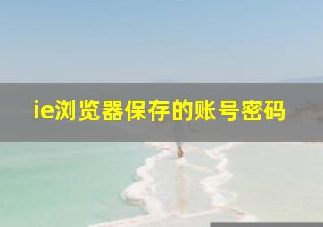 ie浏览器保存的账号密码