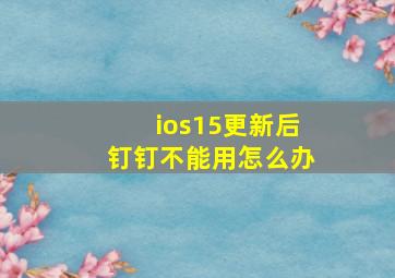 ios15更新后钉钉不能用怎么办