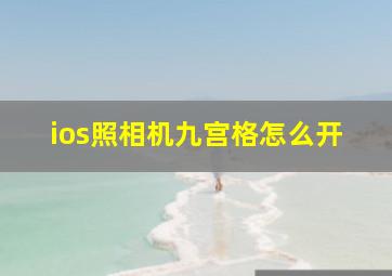 ios照相机九宫格怎么开