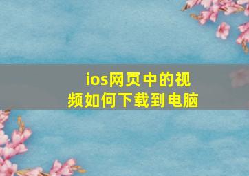 ios网页中的视频如何下载到电脑