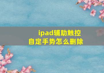 ipad辅助触控自定手势怎么删除