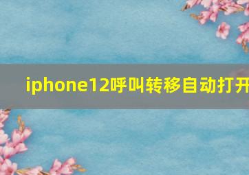 iphone12呼叫转移自动打开