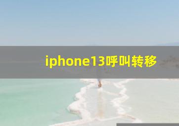 iphone13呼叫转移