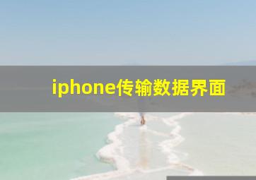 iphone传输数据界面