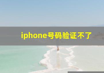 iphone号码验证不了