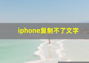 iphone复制不了文字