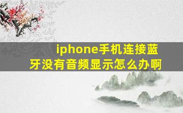 iphone手机连接蓝牙没有音频显示怎么办啊