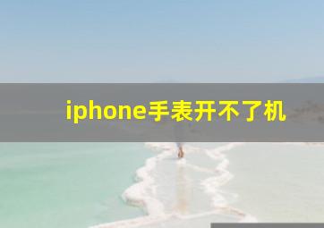 iphone手表开不了机