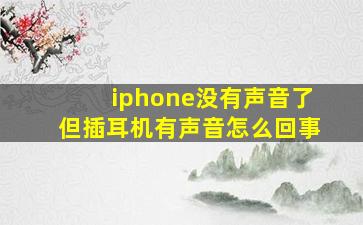 iphone没有声音了但插耳机有声音怎么回事