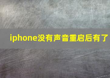 iphone没有声音重启后有了