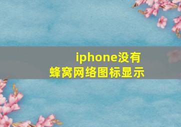 iphone没有蜂窝网络图标显示