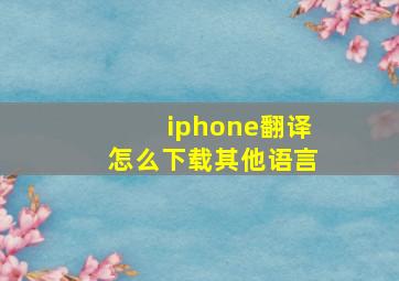 iphone翻译怎么下载其他语言