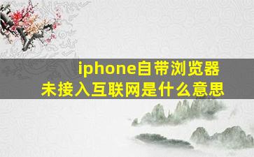 iphone自带浏览器未接入互联网是什么意思