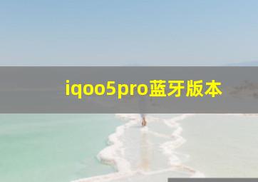 iqoo5pro蓝牙版本