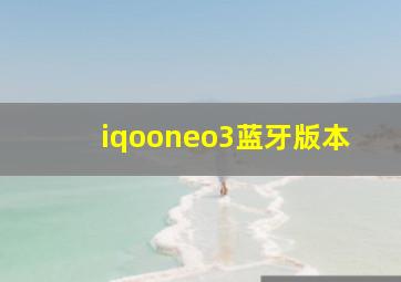 iqooneo3蓝牙版本