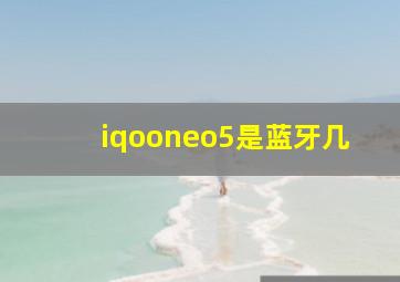 iqooneo5是蓝牙几