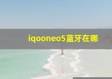 iqooneo5蓝牙在哪