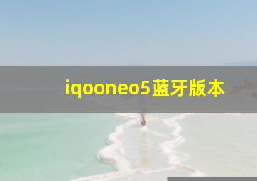 iqooneo5蓝牙版本