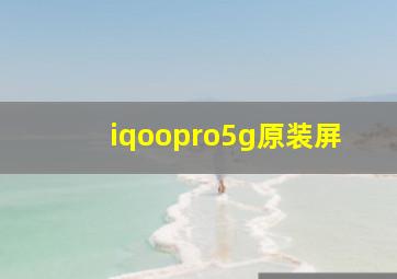 iqoopro5g原装屏