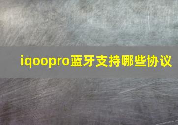 iqoopro蓝牙支持哪些协议