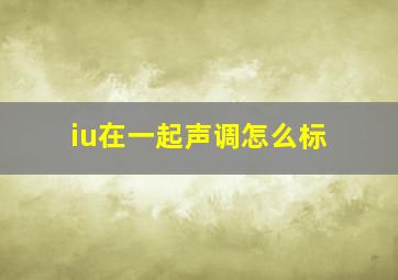 iu在一起声调怎么标