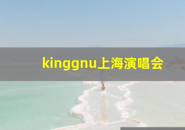 kinggnu上海演唱会