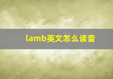 lamb英文怎么读音