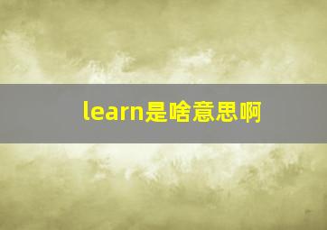 learn是啥意思啊