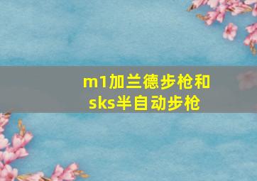 m1加兰德步枪和sks半自动步枪