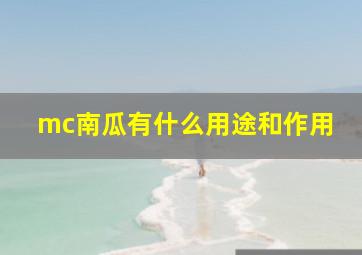 mc南瓜有什么用途和作用