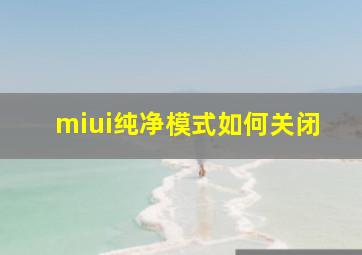 miui纯净模式如何关闭