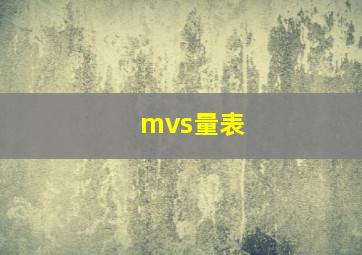 mvs量表