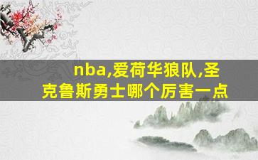 nba,爱荷华狼队,圣克鲁斯勇士哪个厉害一点