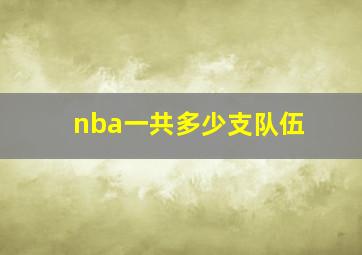 nba一共多少支队伍