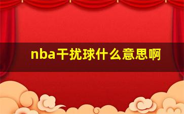 nba干扰球什么意思啊