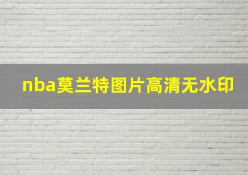 nba莫兰特图片高清无水印