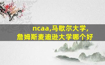 ncaa,马歇尔大学,詹姆斯麦迪逊大学哪个好