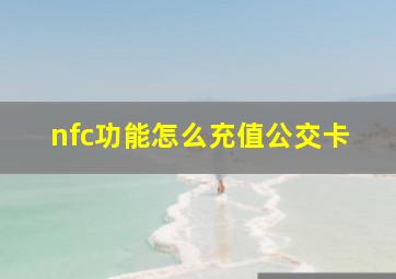 nfc功能怎么充值公交卡