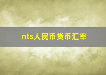 nts人民币货币汇率