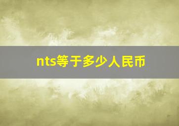 nts等于多少人民币