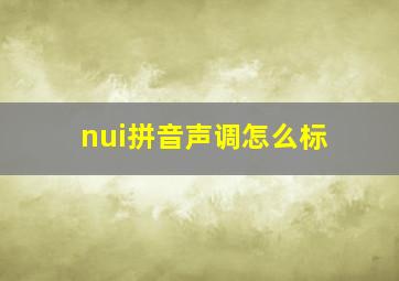 nui拼音声调怎么标