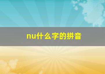 nu什么字的拼音