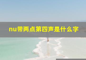 nu带两点第四声是什么字