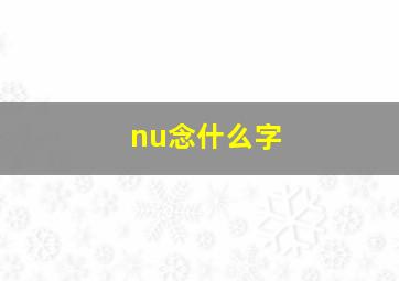 nu念什么字